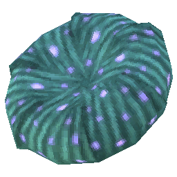 アンテパスタ (生)