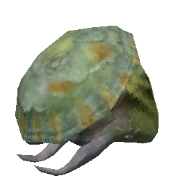 キノコペッカリーの頭蓋骨