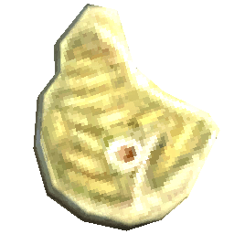 ペッカリーチョップ (生)